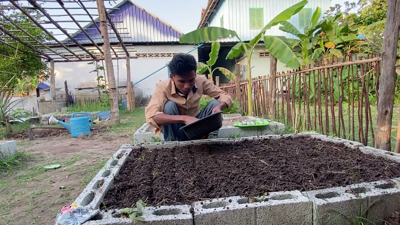 Expanding My Garden: Planting New Seedlings | ដាំបន្ថែម! ដាំកូនដំណាំថ្មីៗក្នុងរង
