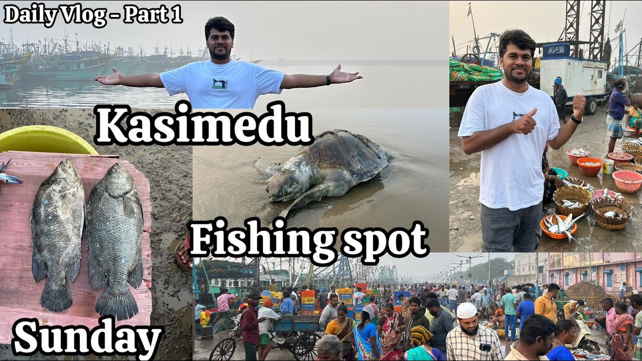 Kasimedu fishing spot 🐠 Morning 5'Clock 🐟 In North Chennai