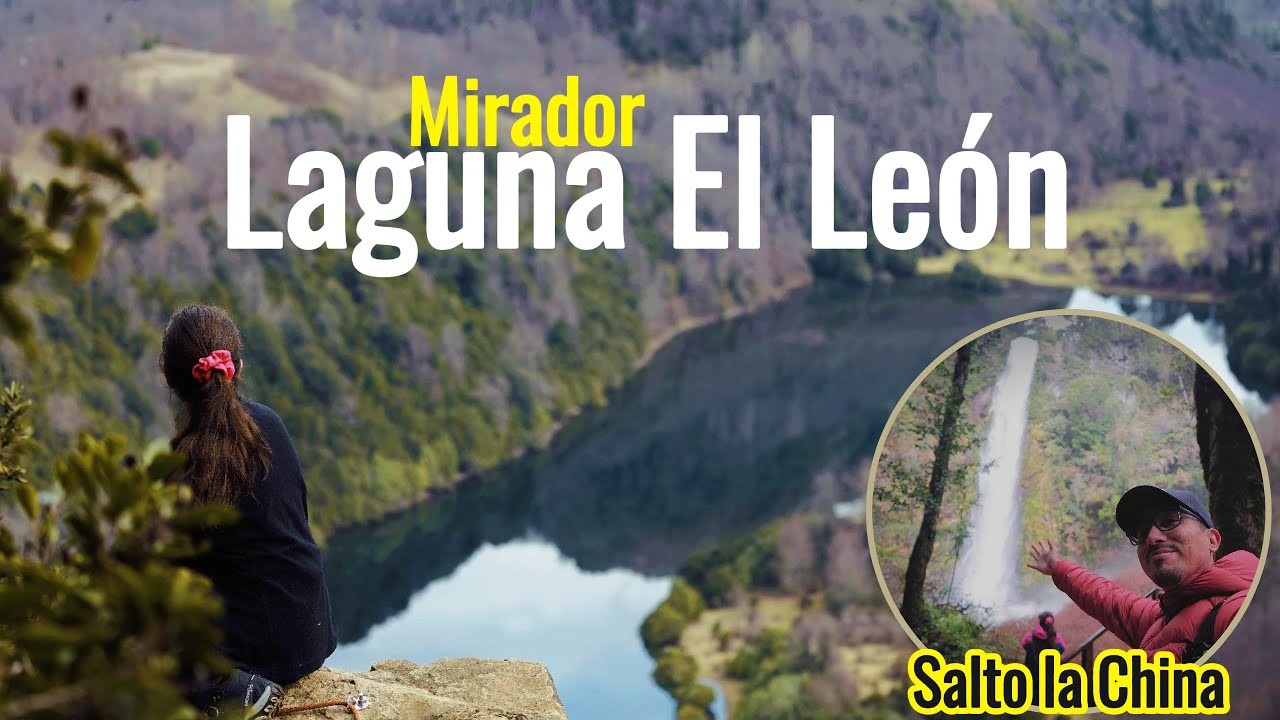 🌿PUCÓN no deja de SORPRENDER! Mirador LAGUNA EL LEON | CANOPY Salto La China.