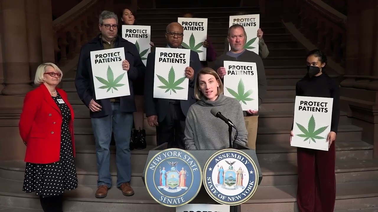Patients Demand Action in NY MMJ Program Clip 6 #nikkilawley #nymjpatient #NYMCIA #patientspeaks