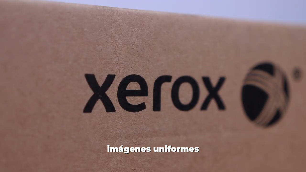 Drum XEROX 013R00686