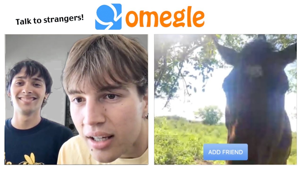 Omegle Is Insane