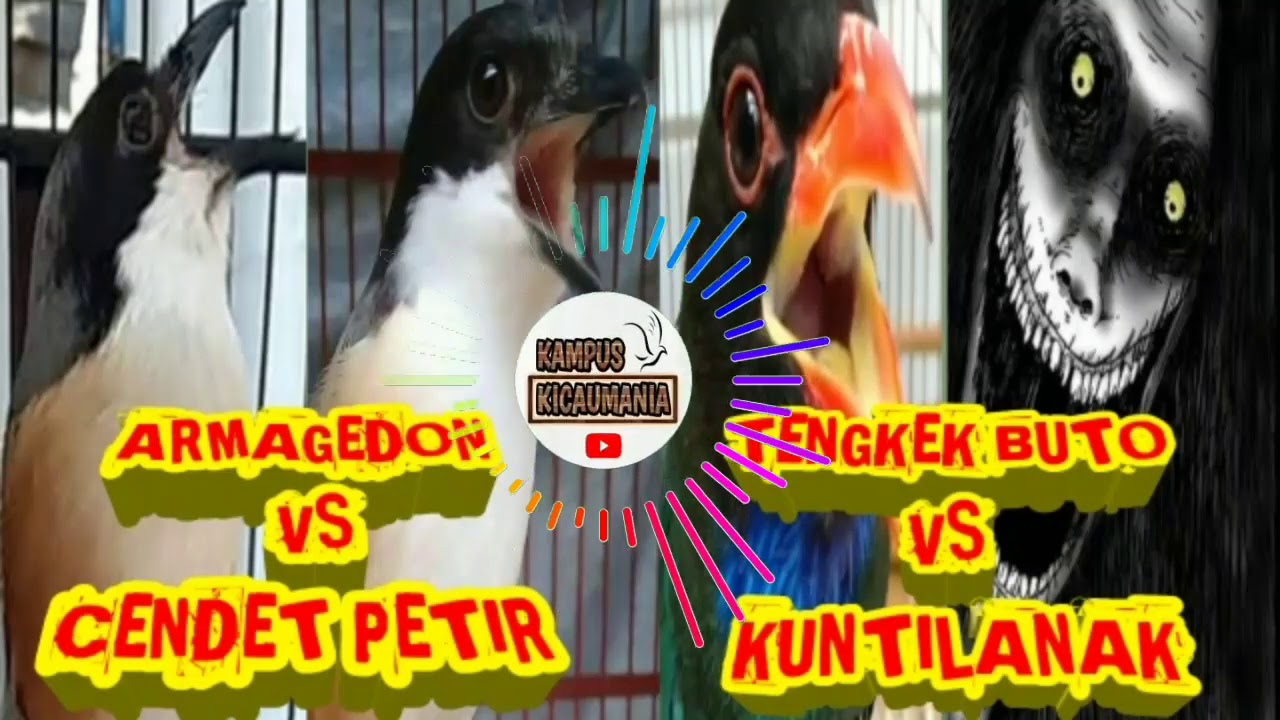 KOMPILASI MASTERAN TEMBAKAN CENDET PALING MEMATIKAN !!! VOLUME TEMBUS GANTANGAN !!