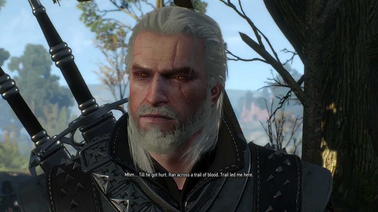 The Witcher 3 Wild Hunt Witcher Contracts (playing with 90 + mods)