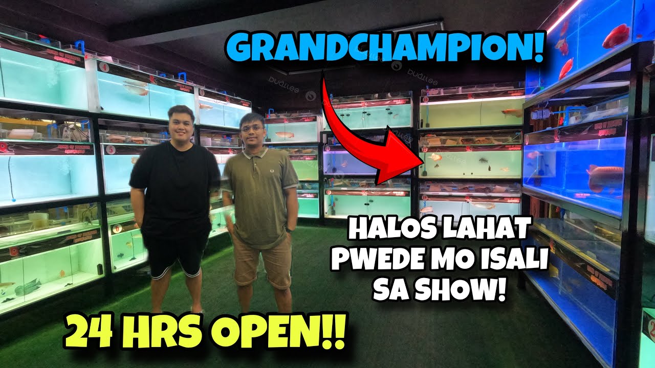 24 HRS OPEN ANG SHOP NA TO PURO IMPORTED FISH !!HALOS LAHAT PWEDE MO ISALI SA SHOW!!😱[DRAGON'S CAVE]