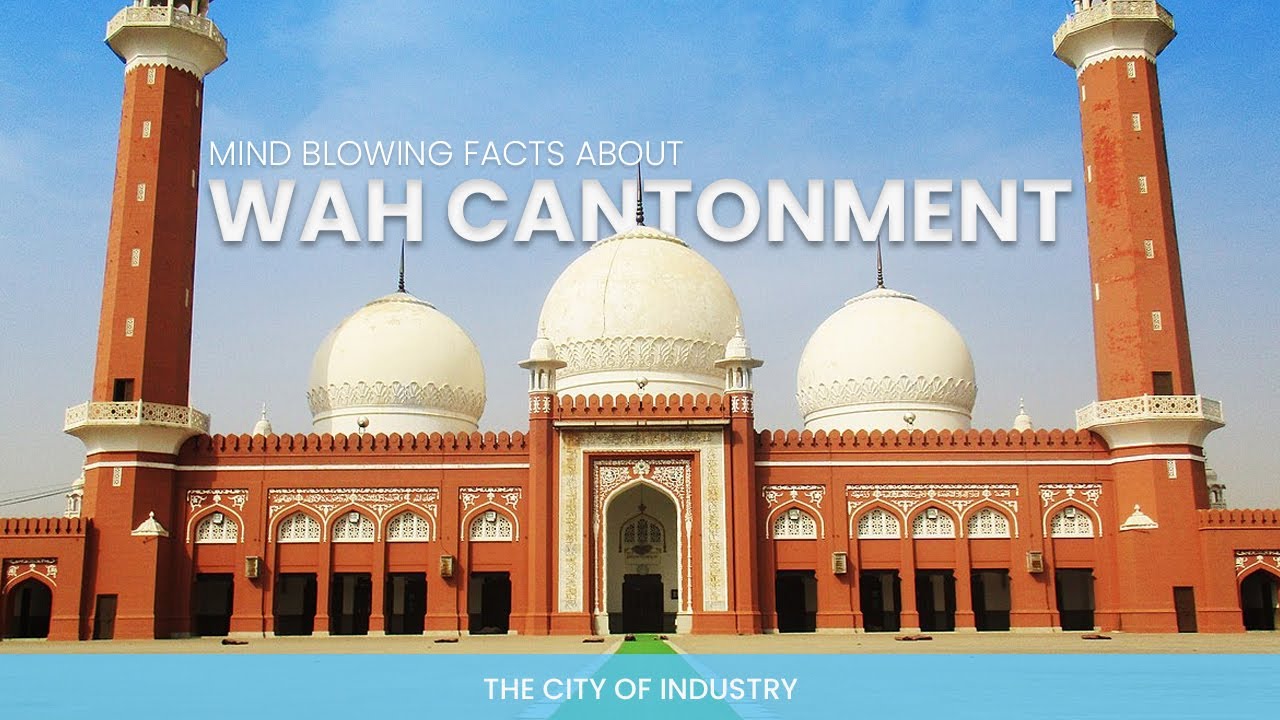15 Fascinating Facts You Didn't Know About 