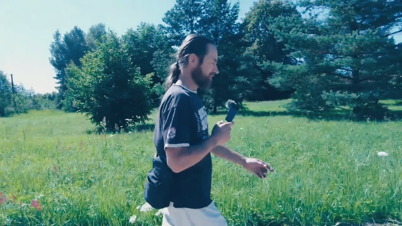 Par to pa&scaron;u - par piesārņoto gaisu, lielo pāreju, ieradumu izmainī&scaron;anu un kara bezjēdzību. A. Vanags