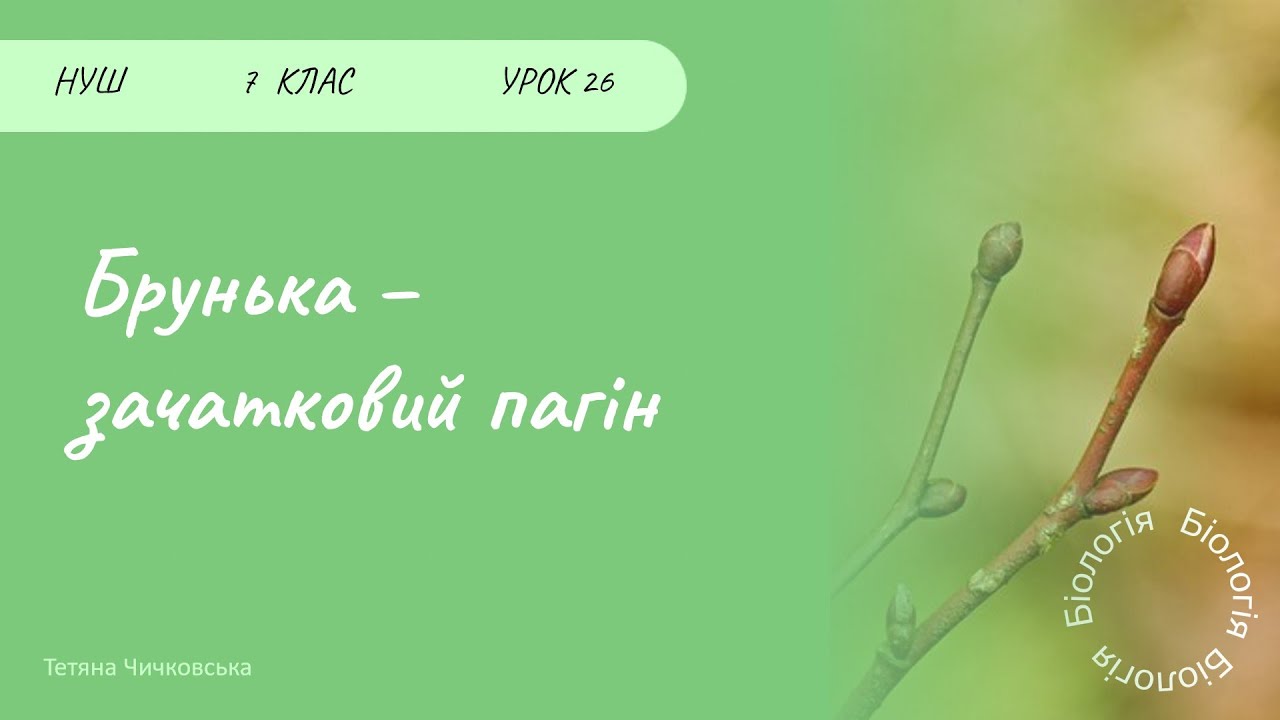 Брунька - зачатковий пагін