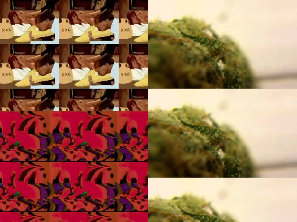 The Curse - Sam Brakebill-Hacke (Official Video)