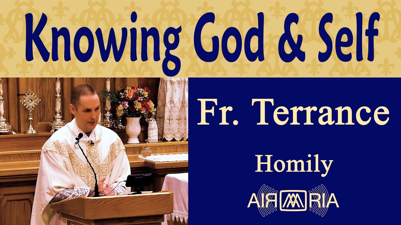 Understanding Human Dignity in God's Image - Feb 10 - Homily - Fr Terrance