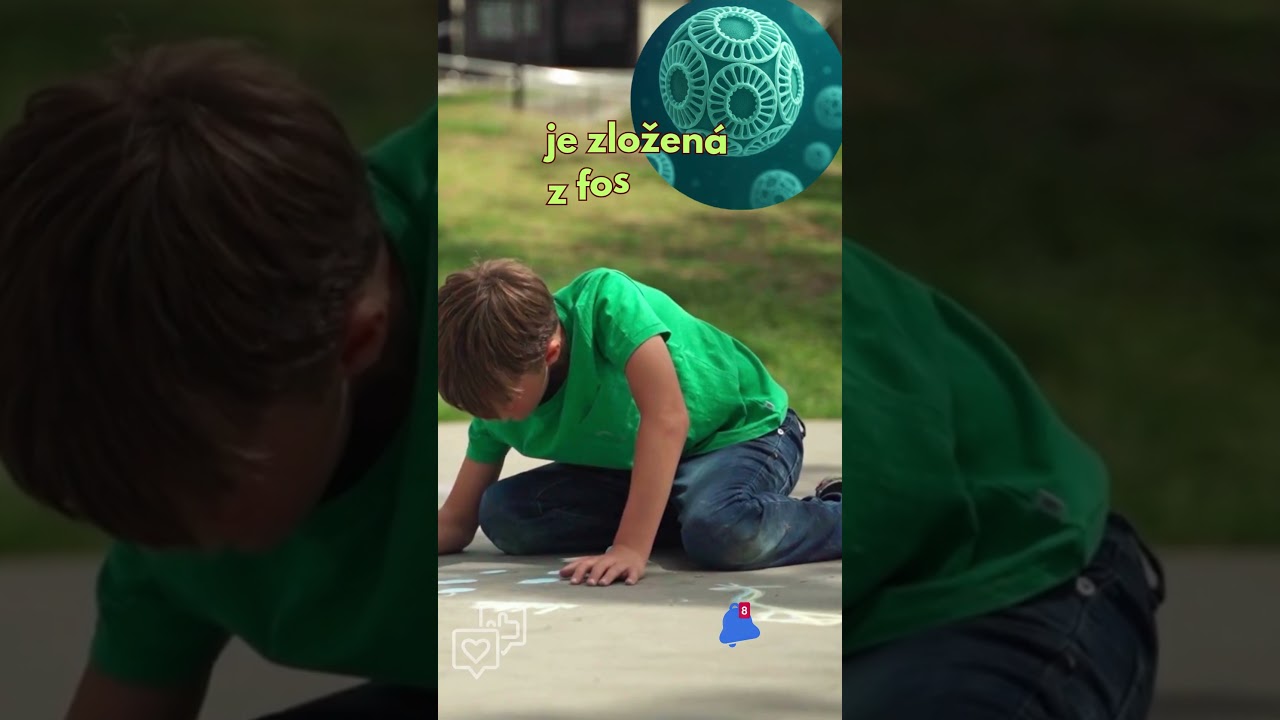 Vedeli ste? 🐚🌊 Krieda je z pozostatkov morsk&yacute;ch živoč&iacute;chov? 🐚🌊 #shorts