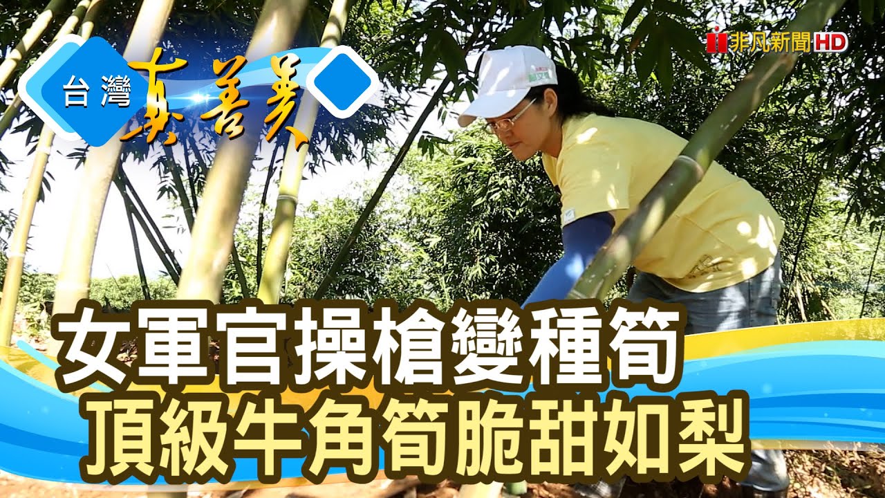 女軍官的友善“牛角筍”｜華音山莊｜【台灣真善美】2024.07.28