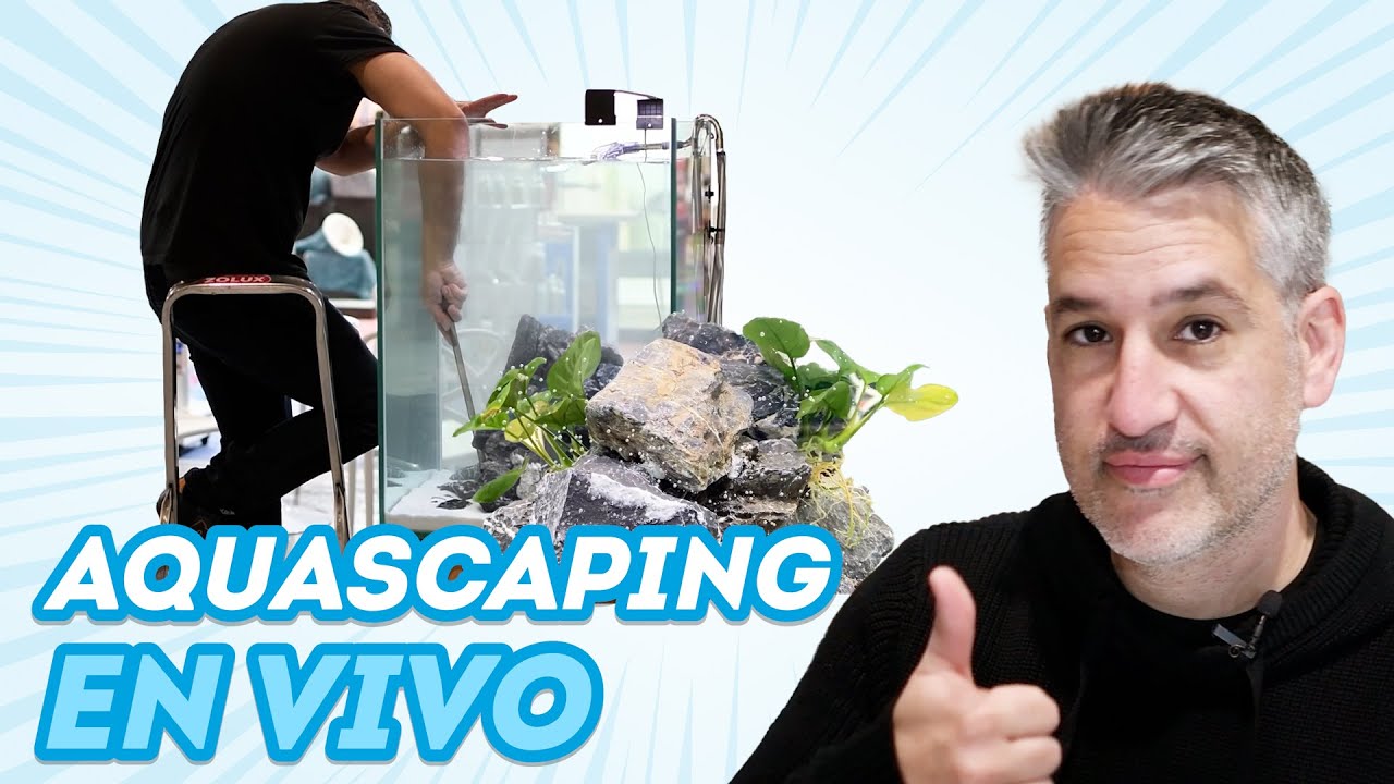 ESPECIAL 150K · Montaje ACUARIO CÍCLIDOS · Iberzoo Propet 2024