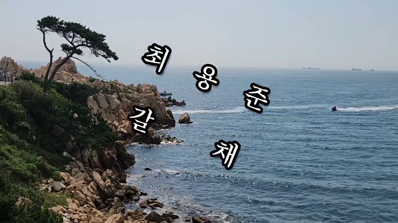 최용준 갈채
