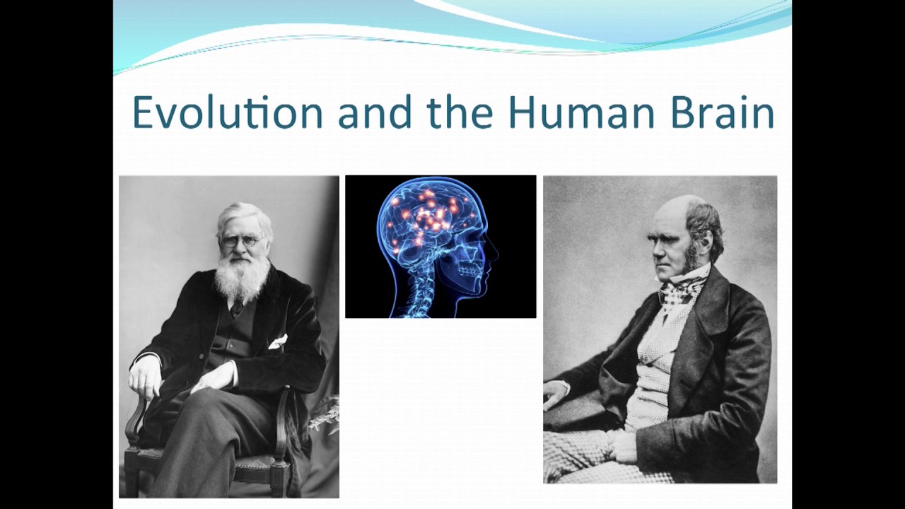 5. Drug Policy: It's Not a No Brainer