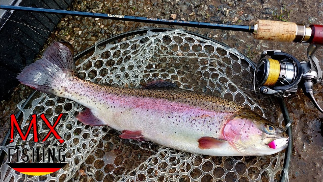 Auswerfen, Animieren und Drillen/Teil 1 von 3/Forellen fischen mit Kunstködern/ Trout Area