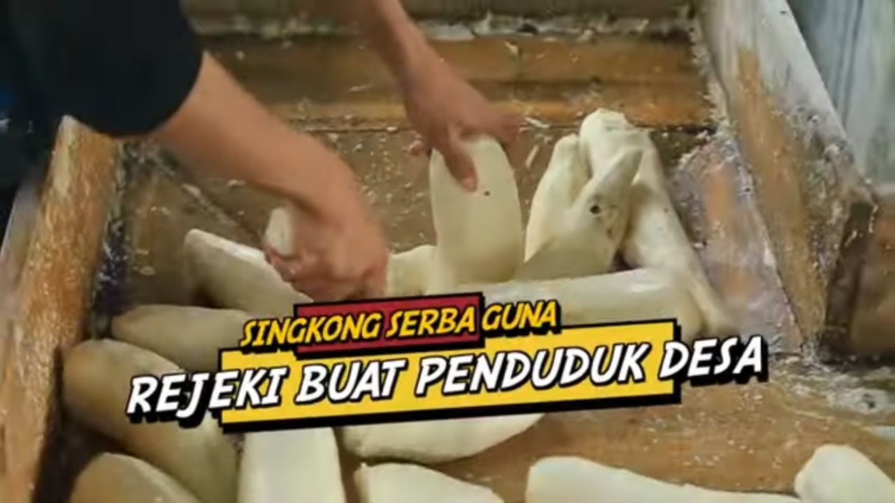 Singkong Serba Guna, Rejeki Buat Penduduk Desa | CUAN BOSS (03/02/24)
