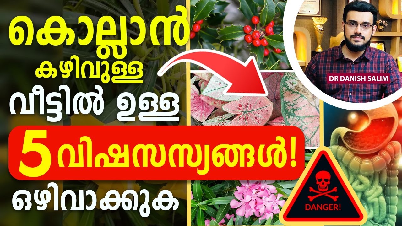 ⚠️ കൊല്ലാൻ കഴിവുള്ള വീട്ടിലെ 5 മാരകമായ വിഷസസ്യങ്ങൾ!  | Deadly Poisonous Houseplants!