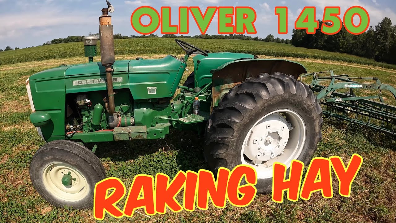 Raking Hay at SADNESS ACRES Oliver 1450 gets it done 💪🏻