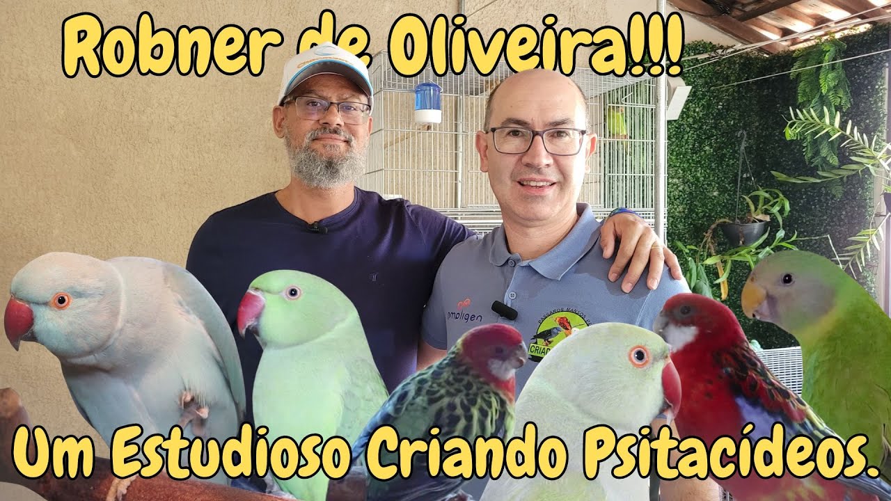 CRIATÓRIO DAS GERAIS UMA CRIAÇÃO DIFERENTE DE PSITACÍDEOS!!!