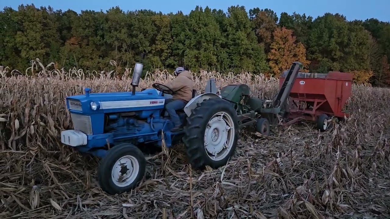Ford 5000 With Oliver 1 Row Corn Picker In Action!