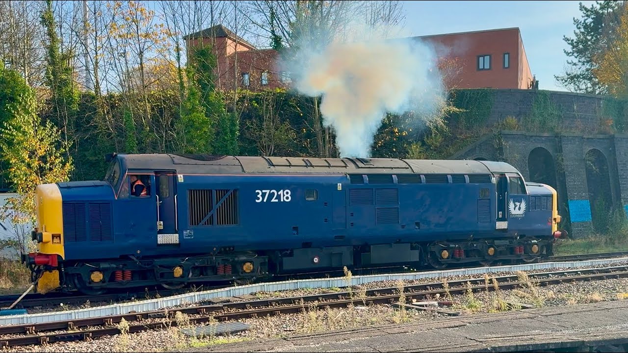 Train Spotting at Leicester Station 13/11/2024
