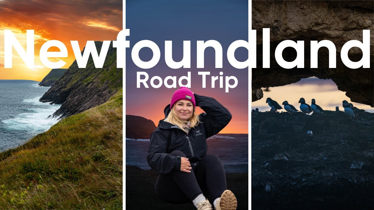 ROAD TRIPPING AROUND NEWFOUNDLAND IN A WEEK! | Travel Vlog 