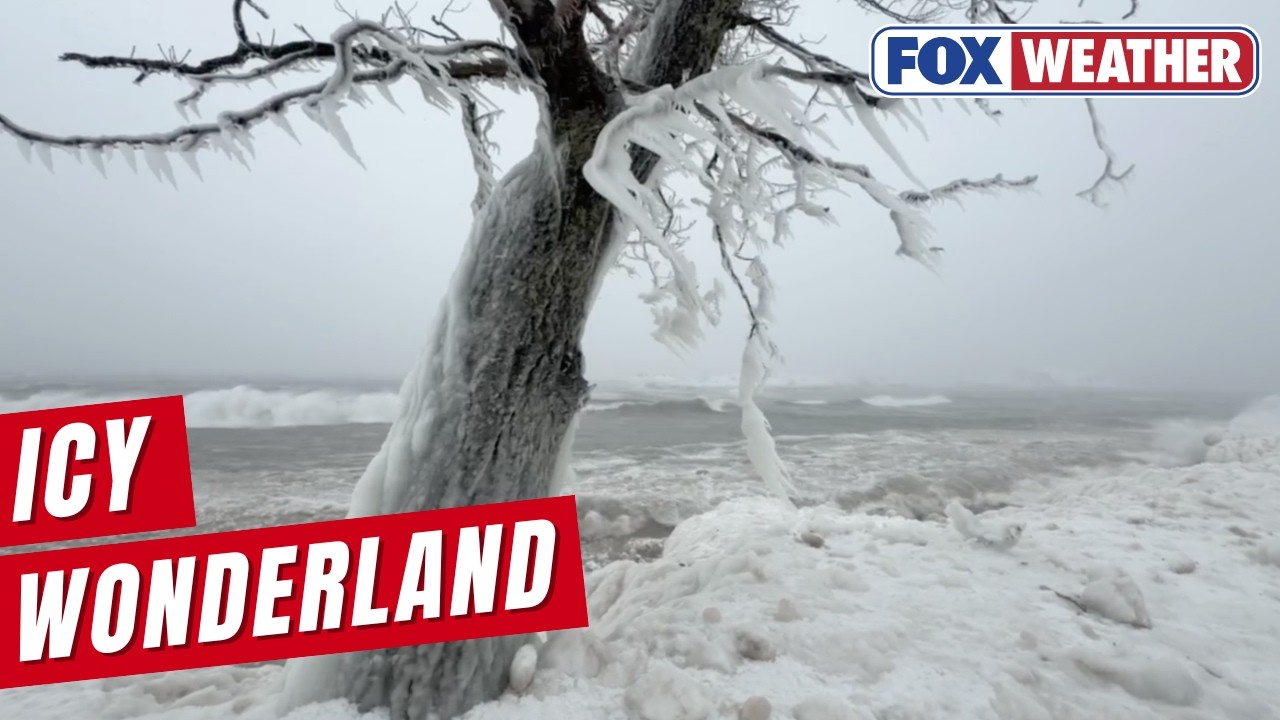 Michigan Slammed By Whiteout Conditions and Gusty Winds, As A Blizzard Moves Through The Region