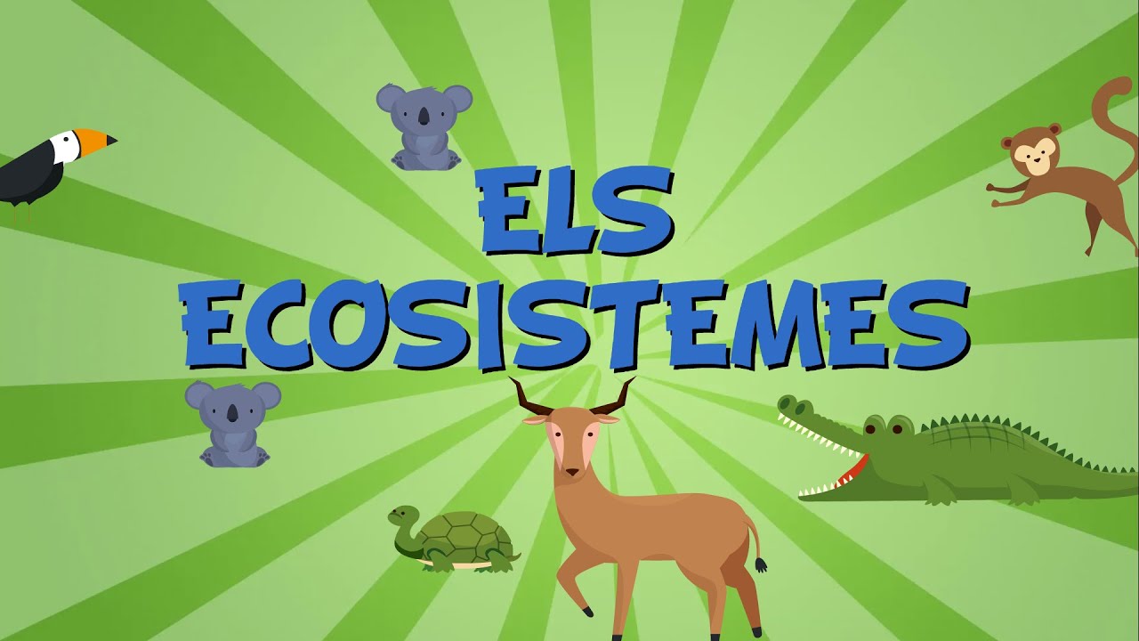 Els ecosistemes | V&iacute;deos educatius per a nens en llengua catalana