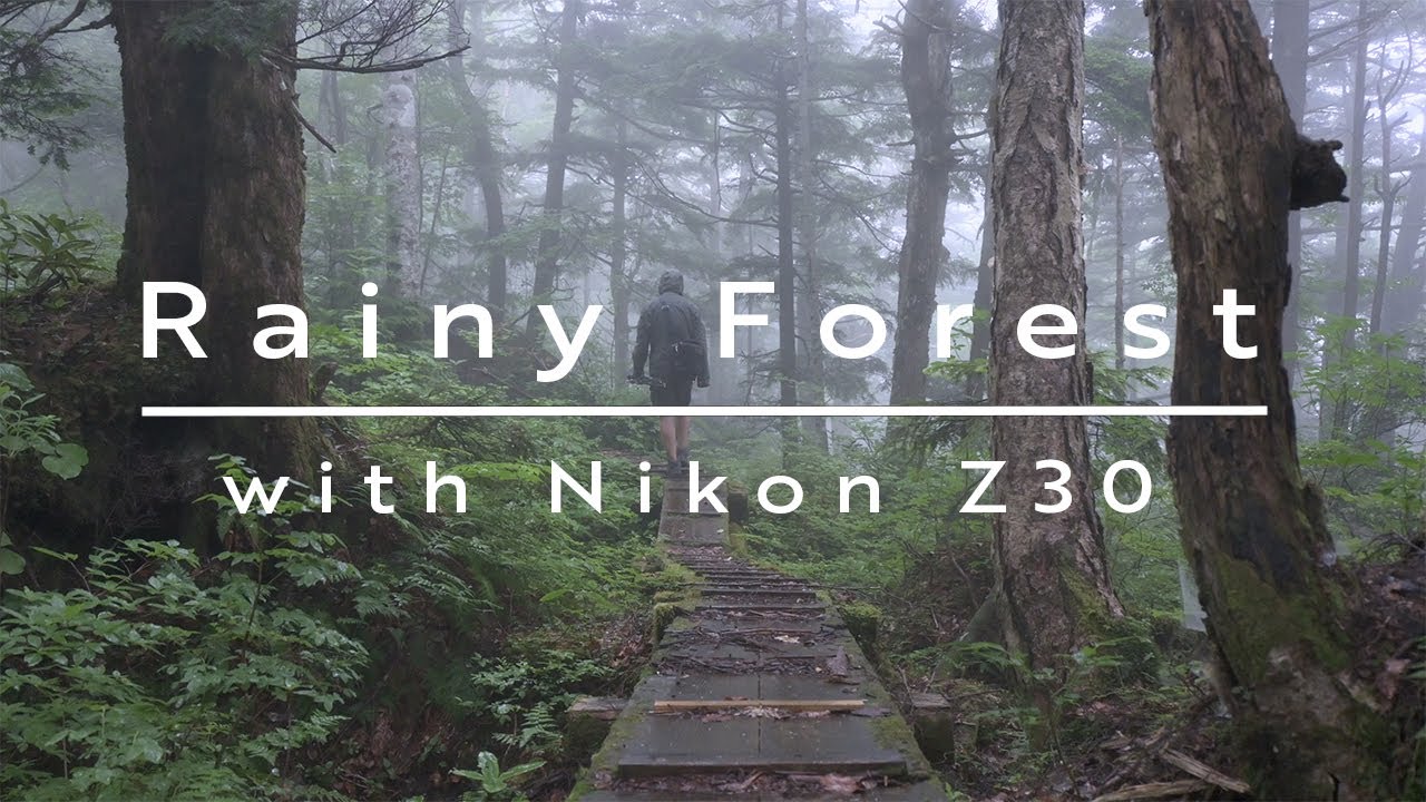 【Fujifilm GFX100S】Rainy Forest with Nikon Z30 ~Z30で撮る雨の森~【風景写真】