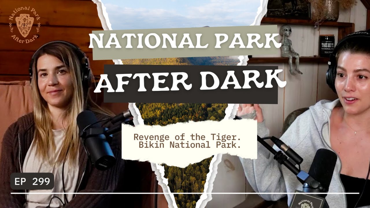 Revenge of the Tiger. Bikin National Park. | National Park After Dark