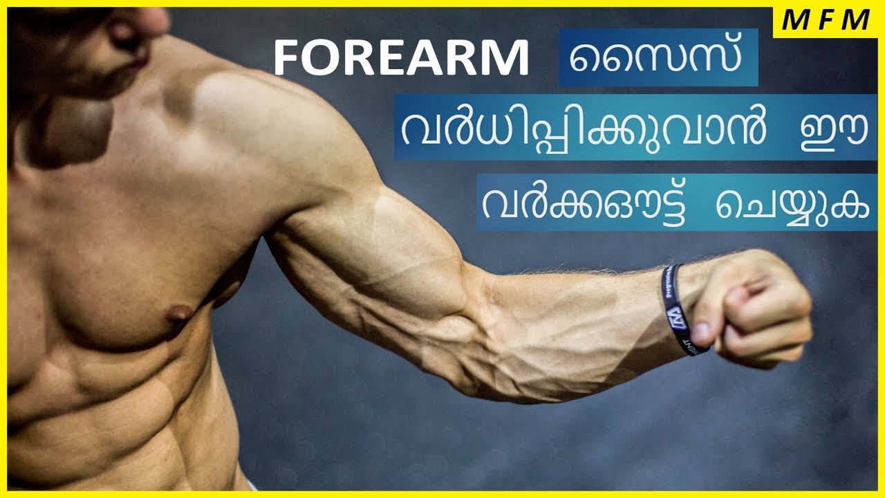 Complete FOREARM WorkOut in Malayalam For Begineers | Explained in മലയാളം | MFM