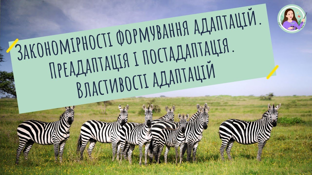 Закономірності формування адаптацій. Преадаптація та постадаптація. Властивості адаптацій