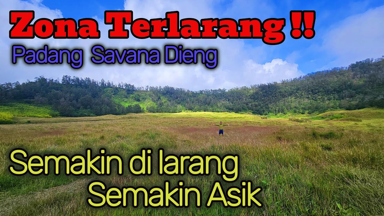 Semakin DILARANG semakin Asik, Padang Savana Dieng kondisi terkini