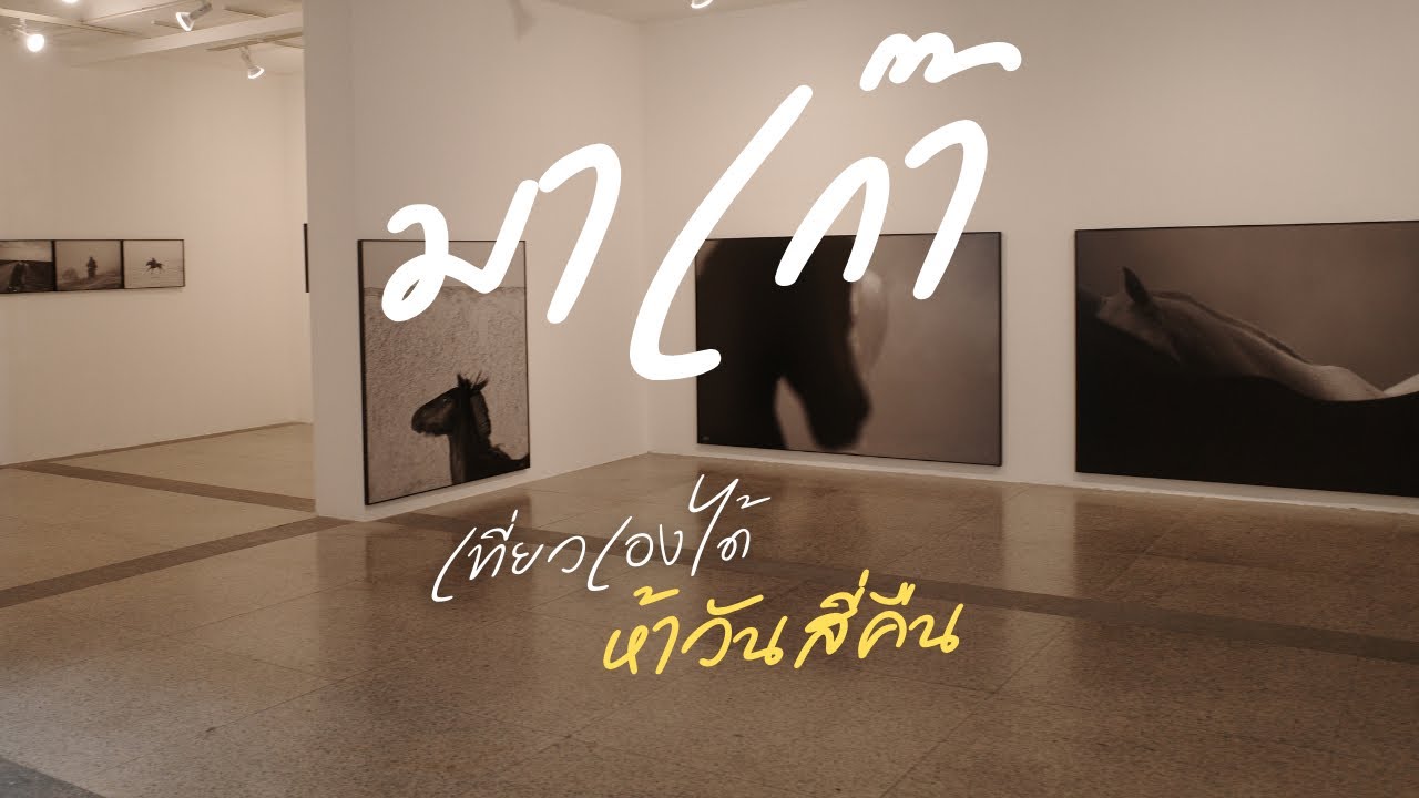 เที่ยวมาเก๊า 5 วัน 4 คืน / บอกการเดินทางละเอียดยิบ / เที่ยวเองได้