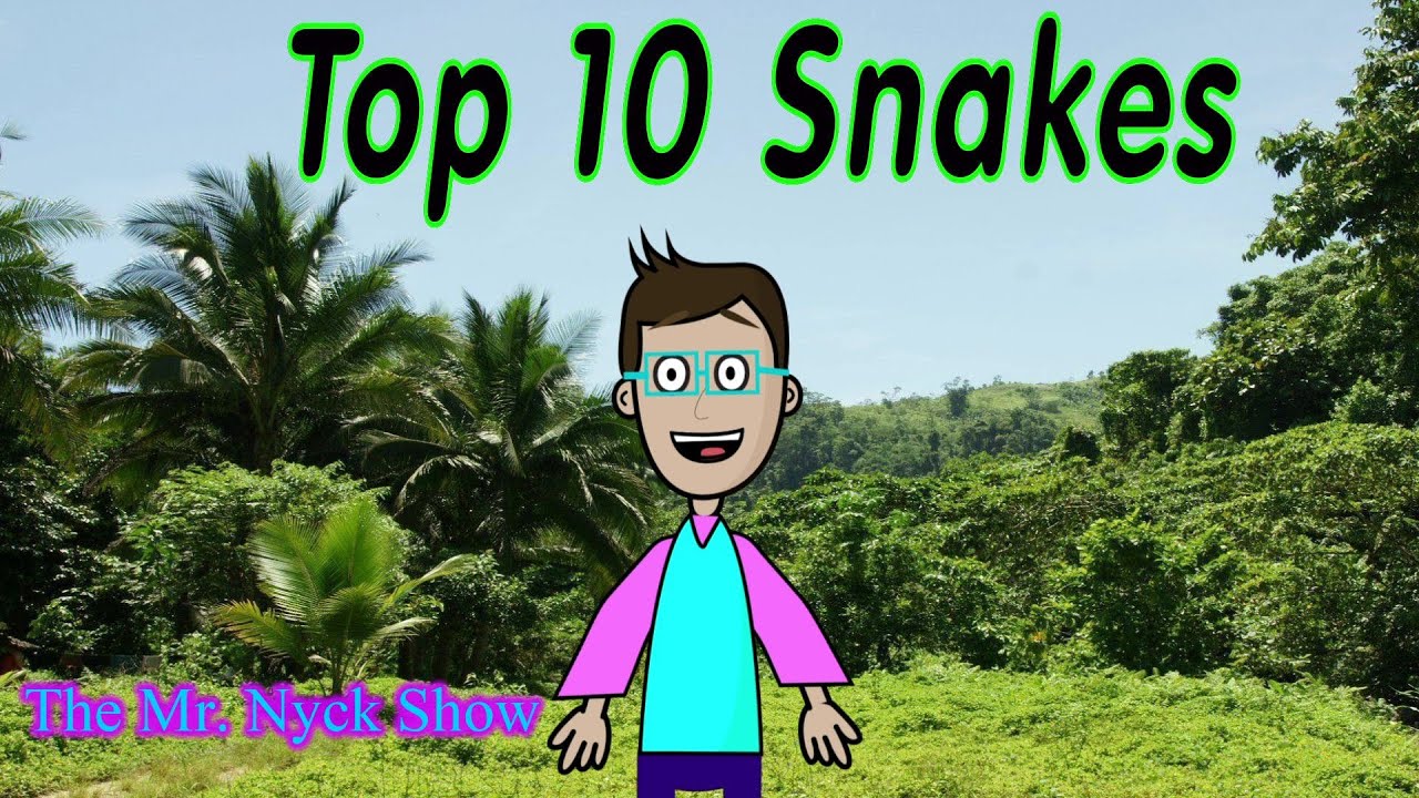 Top 10 Snakes | Mr. Nyck's Favorite Snakes