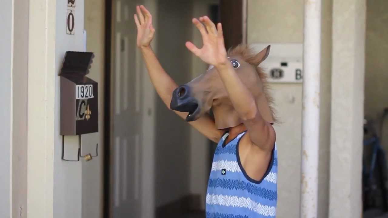 HORSING AROUND