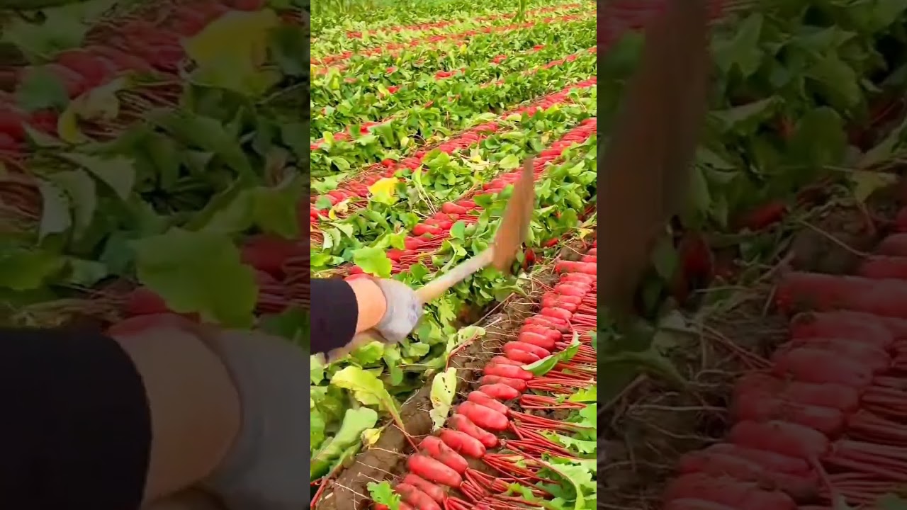 #Agricultural