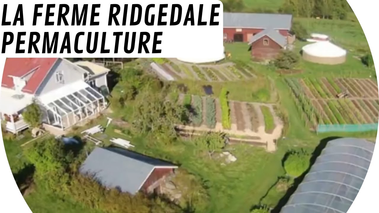 A la découverte de la ferme Ridgedale Permaculture 🚜 (Suède)