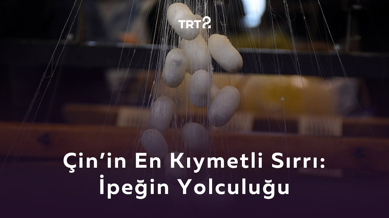 Çin'in En Kıymetli Sırrı: İpeğin Yolculuğu