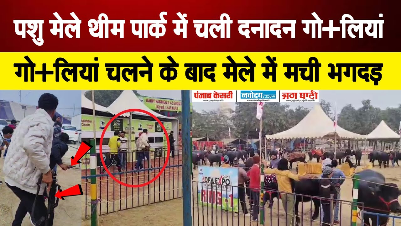 पशु मेले थीम पार्क में चली दनादन गो+लियां, गोलियां चलाने के बाद ह+मलावर हुए फरार