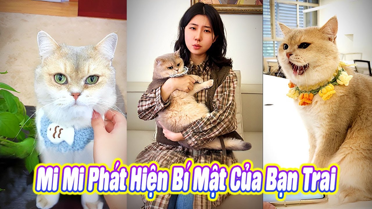 😱 Mi Mi Phát Hiện Bí Mật Của Bạn Trai 🚨 #thúcưng #vậtnuôi #chómèohàihước #funny #pets #cat #cute