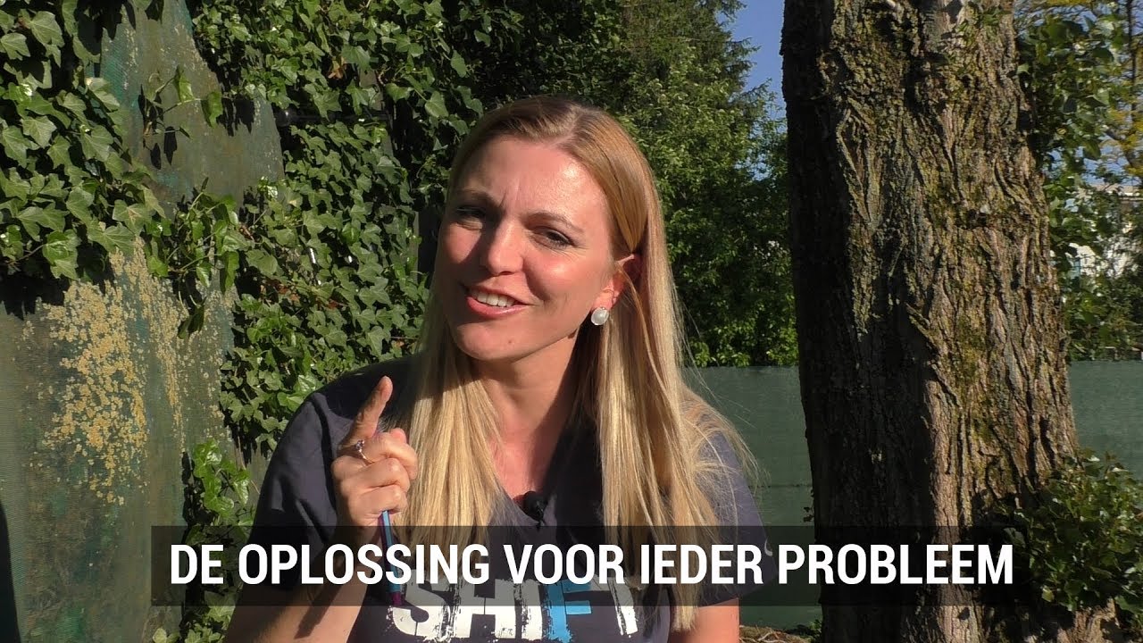 De oplossing voor ieder probleem