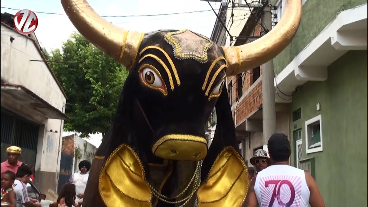 Bloco do Boi comemora 70 anos de tradição