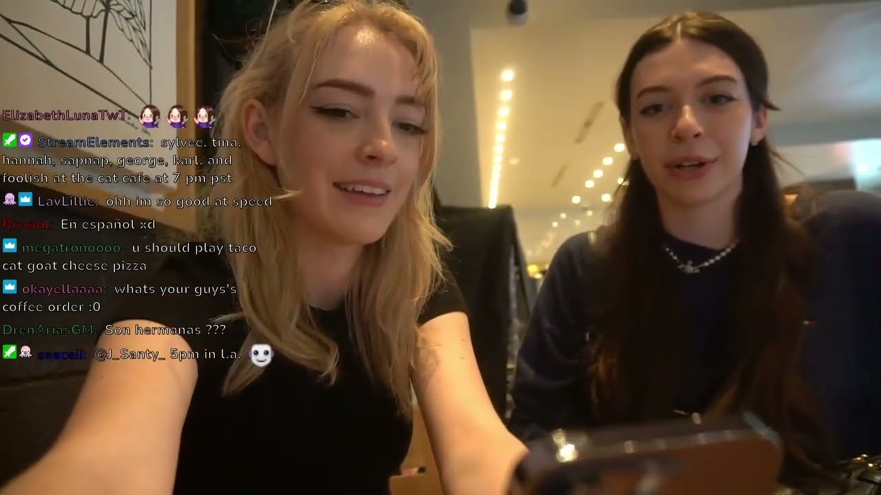 Sylveey VodFIRST IRL STREAM IN LA with friends!!!