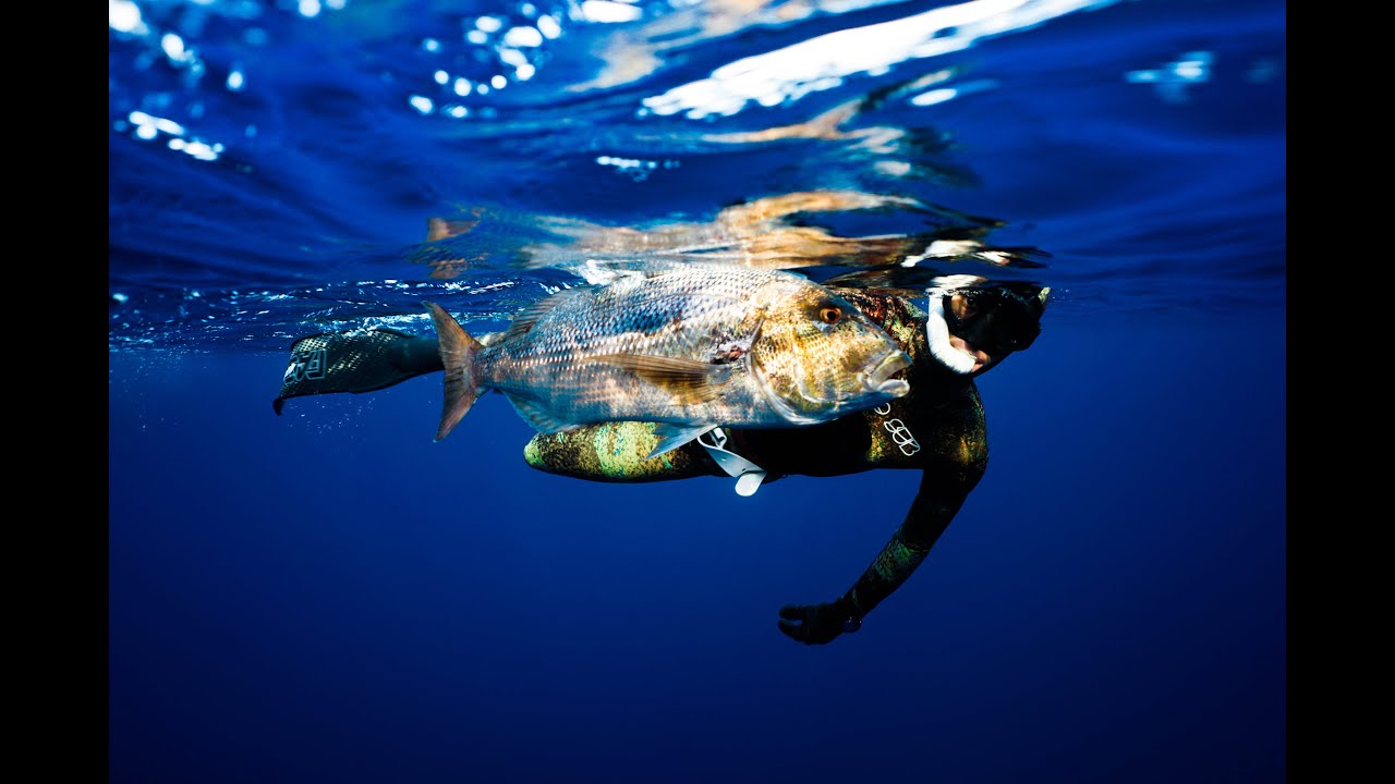Spearfishing corsica with Carl's Gun 2021