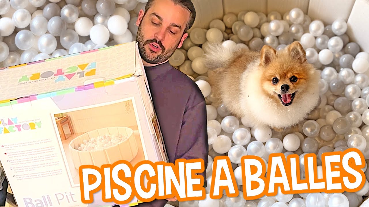 Une PISCINE à BALLES pour notre CHIEN ?? ( il est trop heureux )