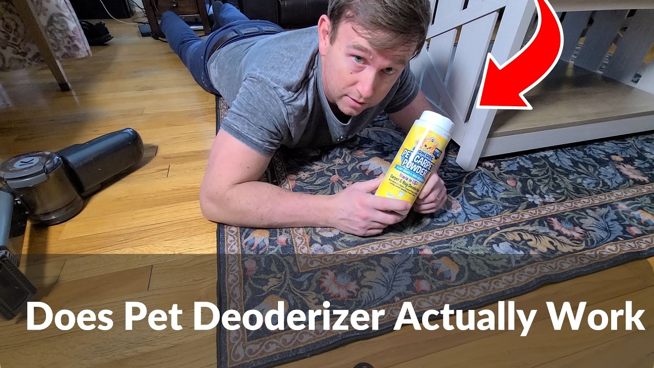 Bodhi Dog Natural Carpet Deodorizer Review | Testing Pet Odor Removal and Vacuum Performance