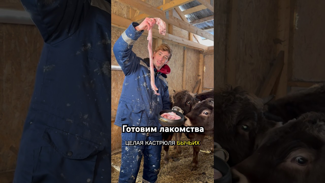 Следим за здоровьем наших пастухов с пастой Plaqtiv+ Артикул: 390331811 на WB Берем в 