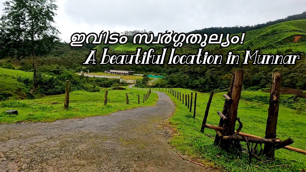 Most beautiful place in Munnar - Letchmi estate | Letchmi estate road drive